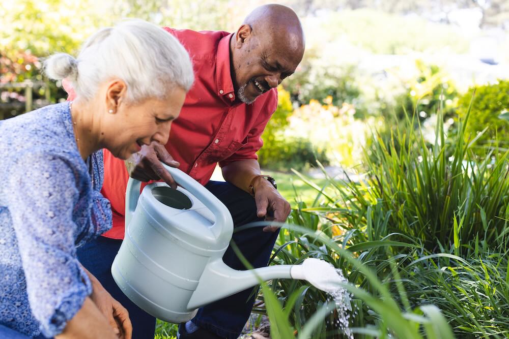 Senior couple taking care of a garden